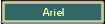 Ariel
