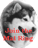 Next Mal Site