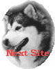 Malamute Ring Homepage