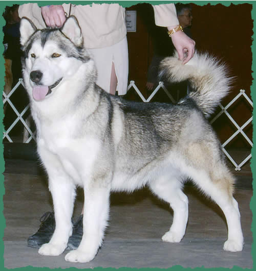 Ariel, summer, 2003