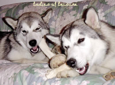 Sharing