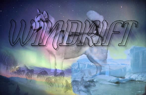 Windrift Alaskan Malamutes